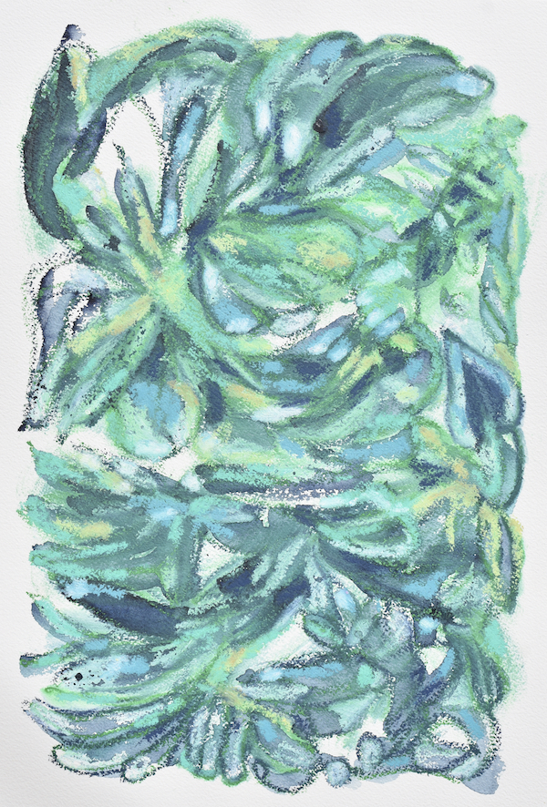 Hard Science Soft Science