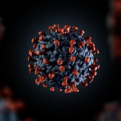 Cell
