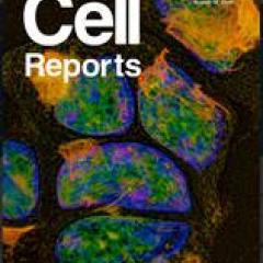 Cell Reports