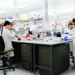 Lab work